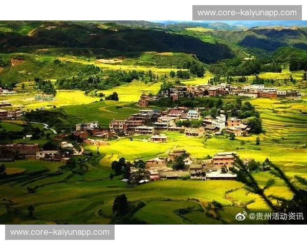 草地赛季首发：点燃你的青春野趣，开启与自然的深度对话